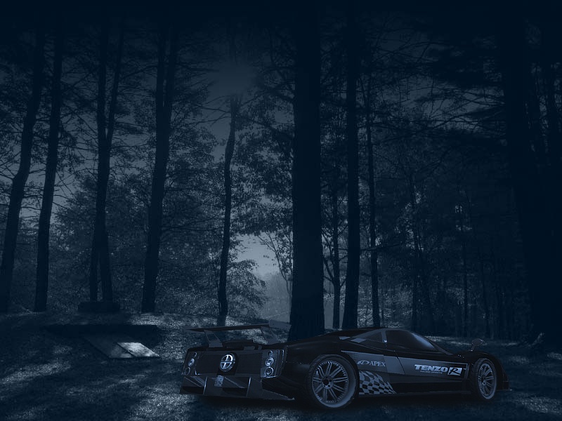 Zonda R goes through a forest