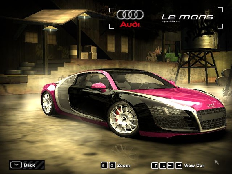 I wish i have a audi le-mans by myself