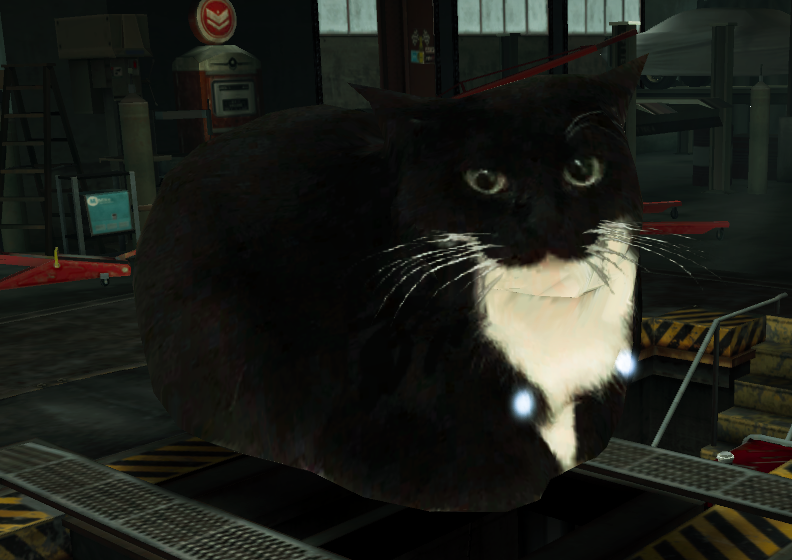 Need For Speed World Fantasy Maxwell the carryable cat for nfs world