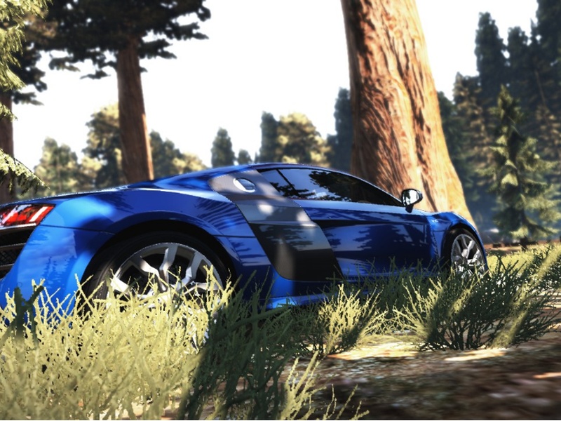 Audi R8 in the forest